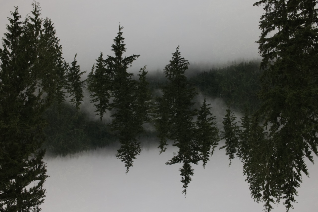 Defining and developing your photographic style.