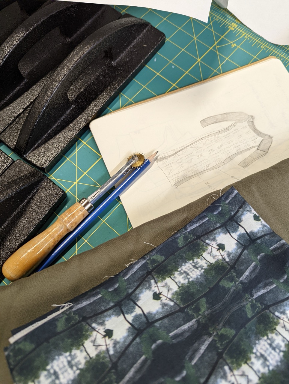 From the coastal wild to the studio…..